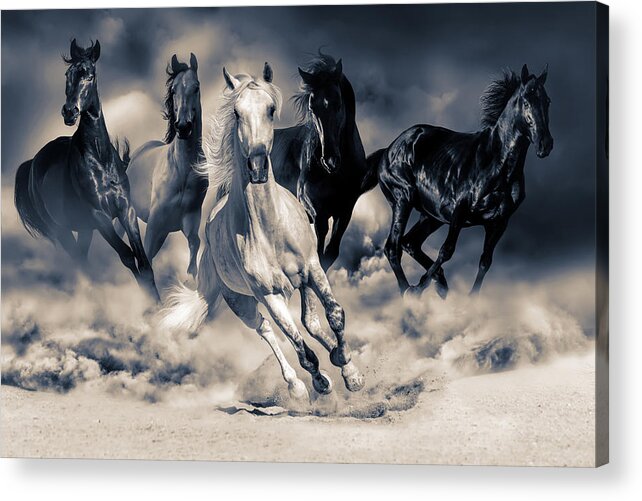 Horses Acrylic Print featuring the digital art Running Horses by Steve Ladner
