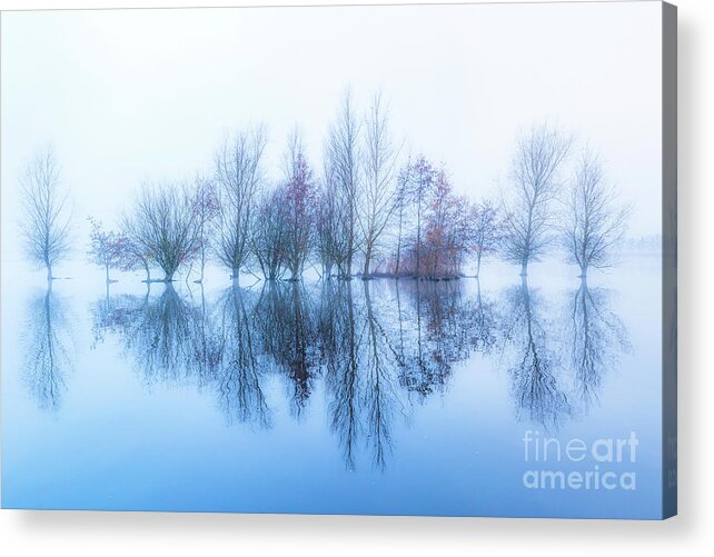 Netherlands Acrylic Print featuring the photograph Serenity-3 by Casper Cammeraat
