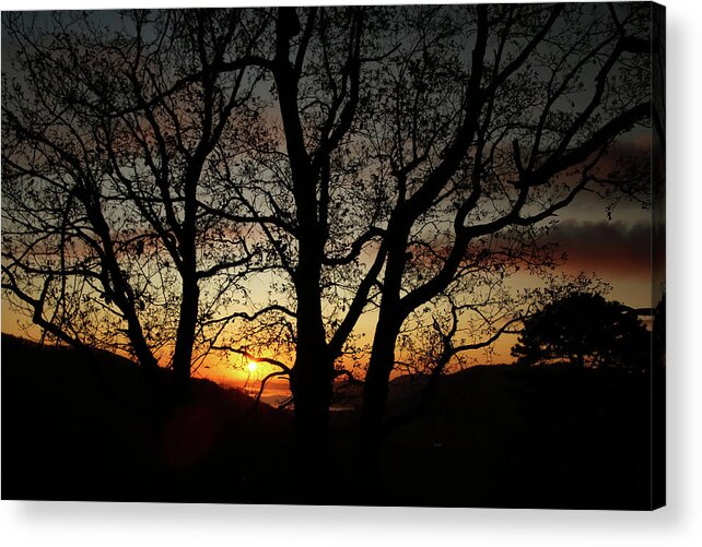 Sunrise Acrylic Print featuring the photograph Silhouettes at Sunrise by Deb Beausoleil