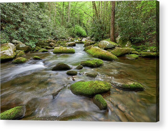 Forest Acrylic Print featuring the photograph Smokey Mountain Cascade by Jon Glaser