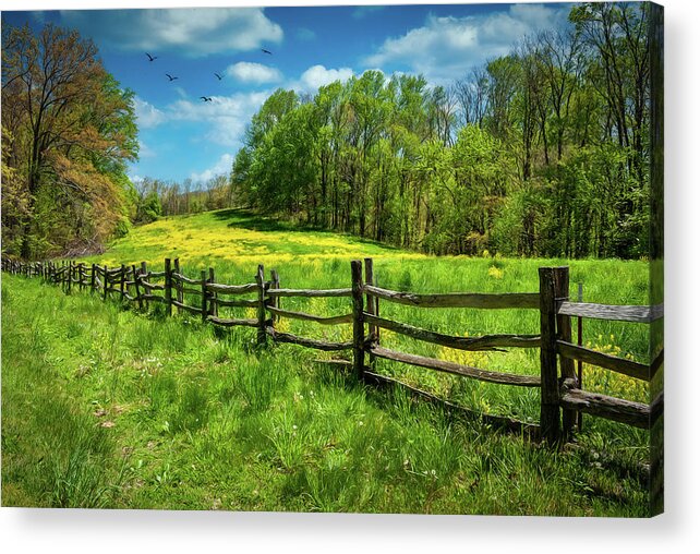 North Carolina Acrylic Print featuring the photograph Spring Flowers and Blue Skies by Dan Carmichael