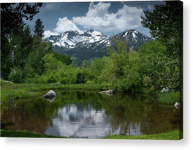 Mammoth Lakes Acrylic Print featuring the photograph Springtime in Mammoth Lakes, CA by Bonnie Colgan