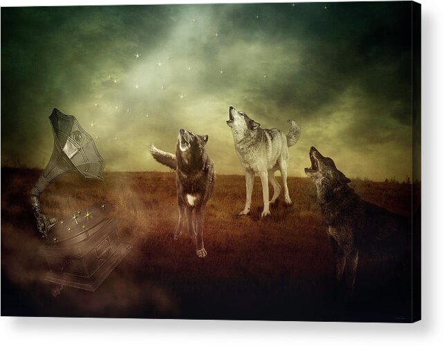 Wolf Acrylic Print featuring the digital art The Sound of Magic by Nicole Wilde