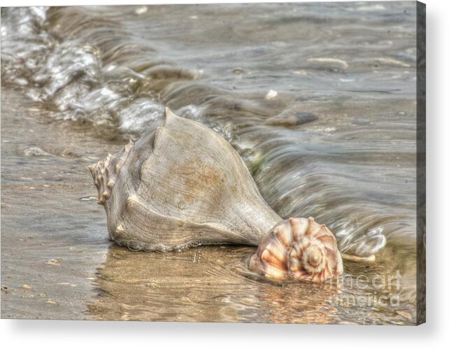 Emerald Isle North Carolina Acrylic Print featuring the photograph Treasures Found by Benanne Stiens