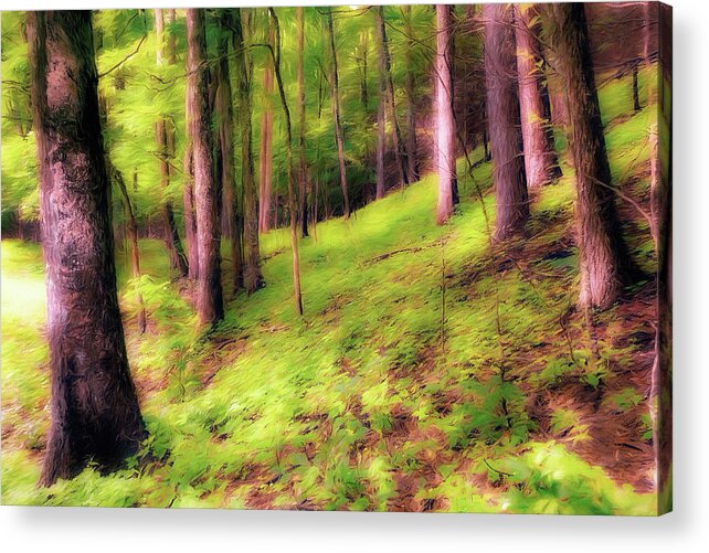 North Carolina Acrylic Print featuring the painting Trees on a Hill ap by Dan Carmichael