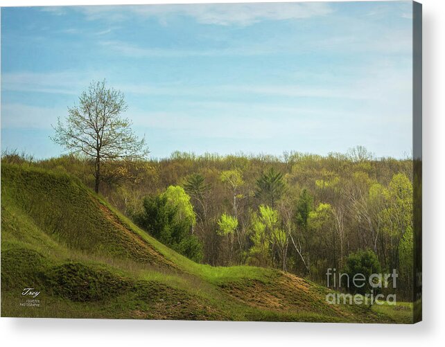 Nature Acrylic Print featuring the photograph Whitcomb Creek Bud Break by Trey Foerster