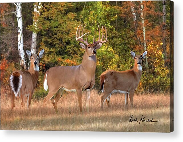 Whitetail Deer Acrylic Print featuring the painting Whitetail Deer Art - The Record Breaker by Dale Kunkel Art