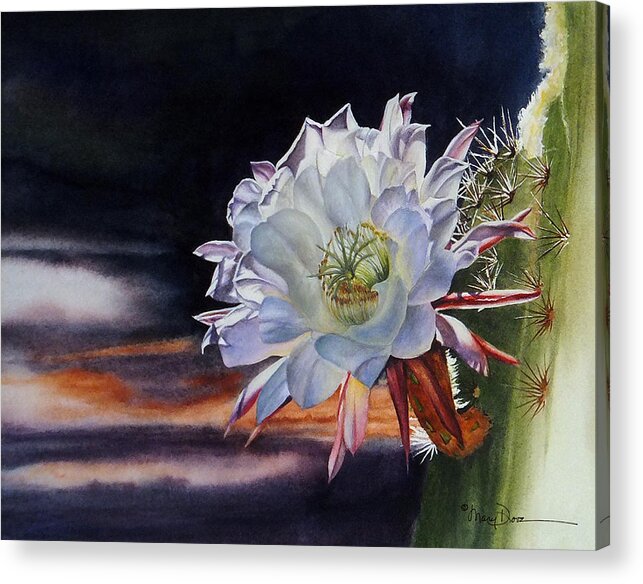 Mary Dove Art Acrylic Print featuring the painting Early Morning Argentine Giant Cactus Flower by Mary Dove