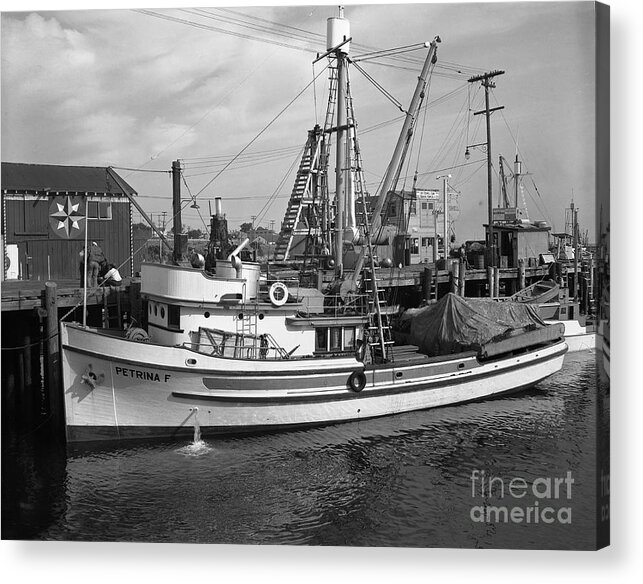 Petrine F Acrylic Print featuring the photograph Petrina F Purse Seiners Monterey circa 1947 by Monterey County Historical Society