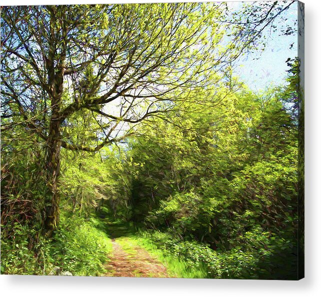 Greeting Card Acrylic Print featuring the photograph A Gentle Path by Allan Van Gasbeck