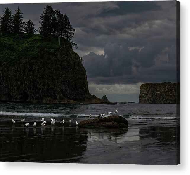 Seagulls Acrylic Print featuring the photograph Seagulls by Thomas Hall