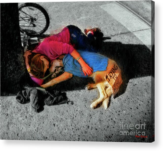  Acrylic Print featuring the photograph Trying To Get Home by Blake Richards