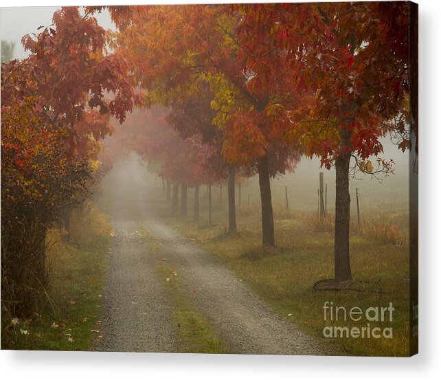 Coeur D Alene Acrylic Print featuring the photograph Autumn Road #1 by Idaho Scenic Images Linda Lantzy