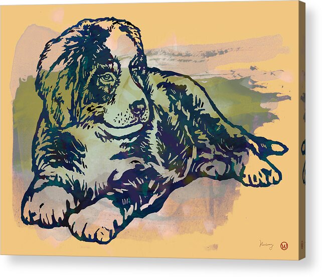 Dog Stylised Pop Morden Art Drawing Sketch Portrait. Pet Acrylic Print featuring the drawing Dog stylised pop modern etching art portrait #11 by Kim Wang