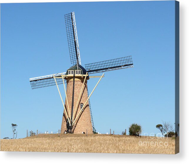 Australia Acrylic Print featuring the photograph Dutch Windmill - Western Australia by Phil Banks