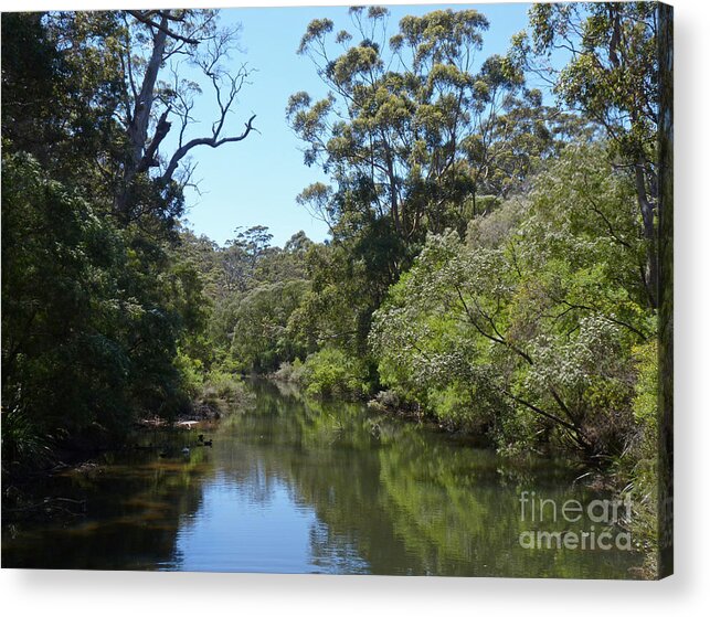 Australia Acrylic Print featuring the photograph Margaret River - Western Australia by Phil Banks