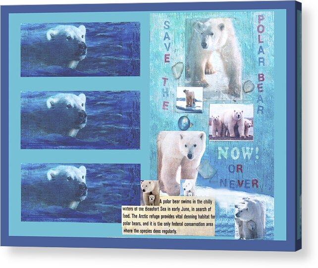 Ecology Acrylic Print featuring the mixed media Save the Polar Bear Now or Never by Mary Ann Leitch