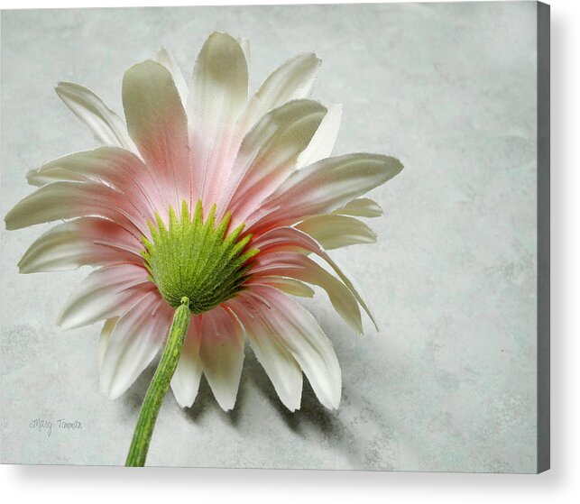 Flower Acrylic Print featuring the photograph Reserved by Mary Timman