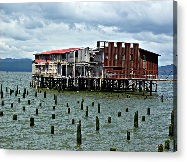 Fish Acrylic Print featuring the photograph Salmon Cannery by Jo Sheehan