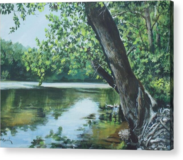 River Acrylic Print featuring the painting St. Joseph River by William Brody