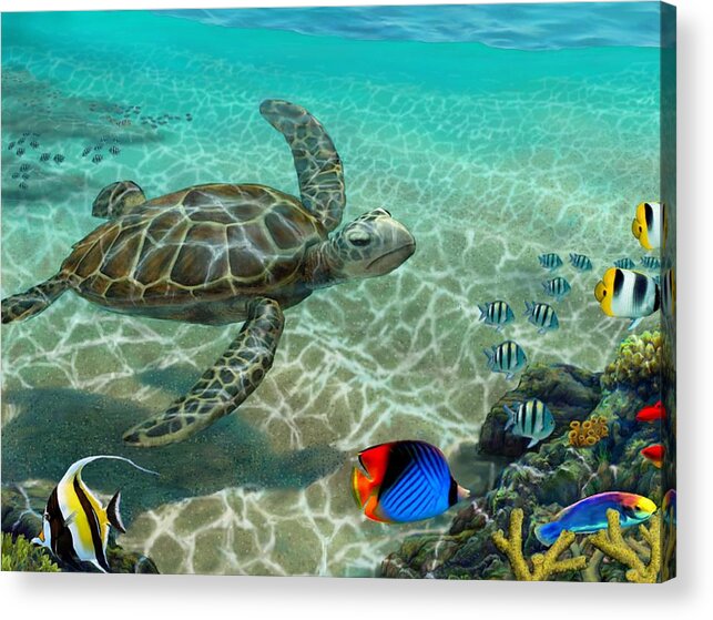 Hawaii Seascape Acrylic Print featuring the painting Hawaiian Sea Turtle #1 by Stephen Jorgensen