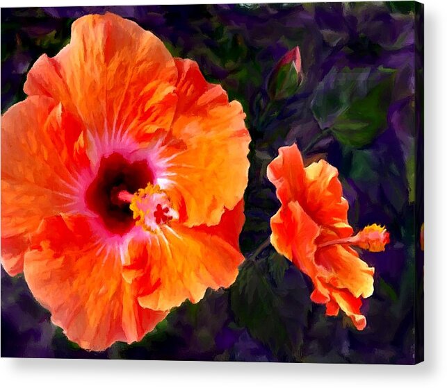 Hibiscus Acrylic Print featuring the painting Pinkish Orange Hibiscus by Stephen Jorgensen