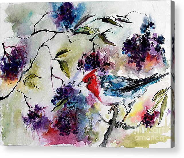 Watercolor Acrylic Print featuring the painting Bird In Elderberry Bush Watercolor by Ginette Callaway