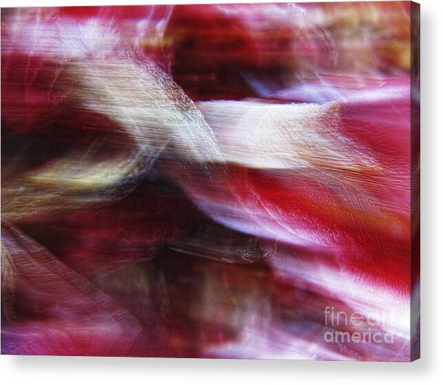 Dream Acrylic Print featuring the photograph Dreamscape-3 by Casper Cammeraat