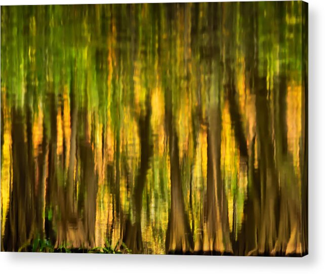 Carol Eade Acrylic Print featuring the photograph Everglades Reflections by Carol Eade