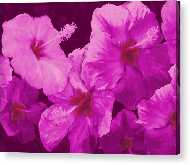 Hibiscus Acrylic Print featuring the painting Hibiscus, Pink by Stephen Jorgensen