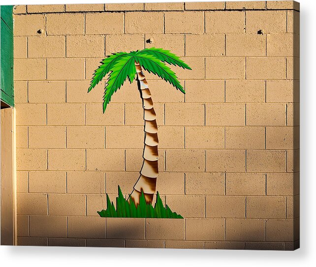 Palm Tree Acrylic Print featuring the photograph Palm tree sign by Rich Iwasaki