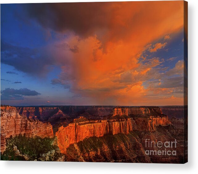 Grand Canyon Acrylic Print featuring the photograph Clearing Storm Cape Royal North Rim Grand Canyon NP Arizona by Dave Welling