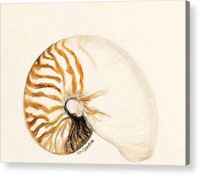 Nautilus Acrylic Print featuring the painting Nautilus by M Carlen