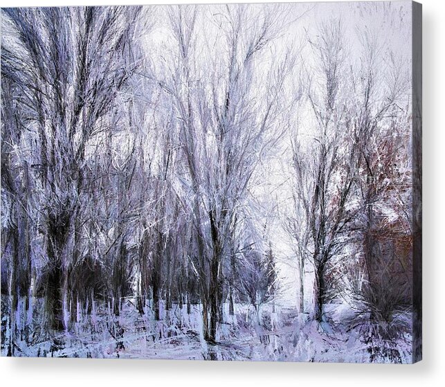 Winter Acrylic Print featuring the painting Winter Lace by Diane Chandler