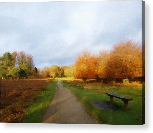 Park Acrylic Print featuring the photograph Autumn Seat by Abbie Shores