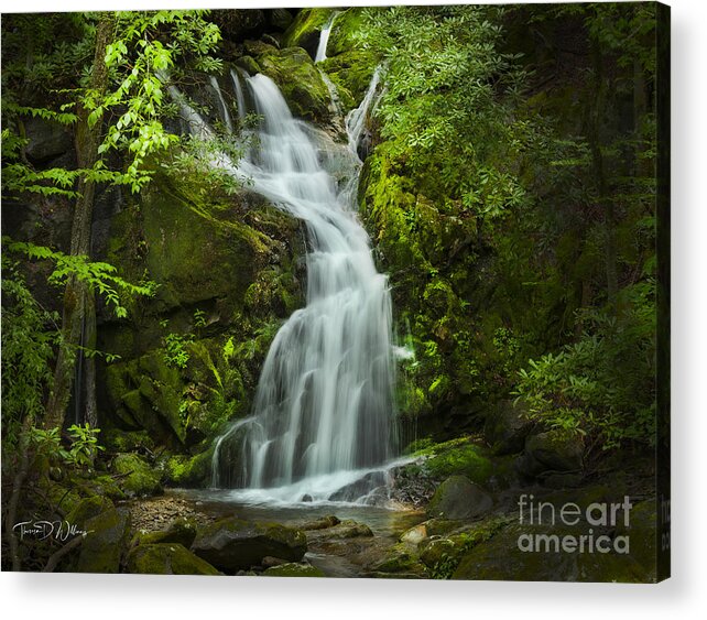 Landscape Acrylic Print featuring the photograph Smoky Mountain Water Angel by Theresa D Williams