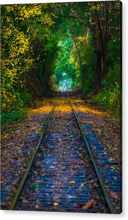 Railroad Tracks Acrylic Print featuring the photograph Journey by Tommy Farnsworth