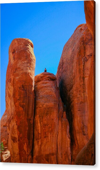 Arches National Park Acrylic Print featuring the photograph Just hanging out by Tommy Farnsworth