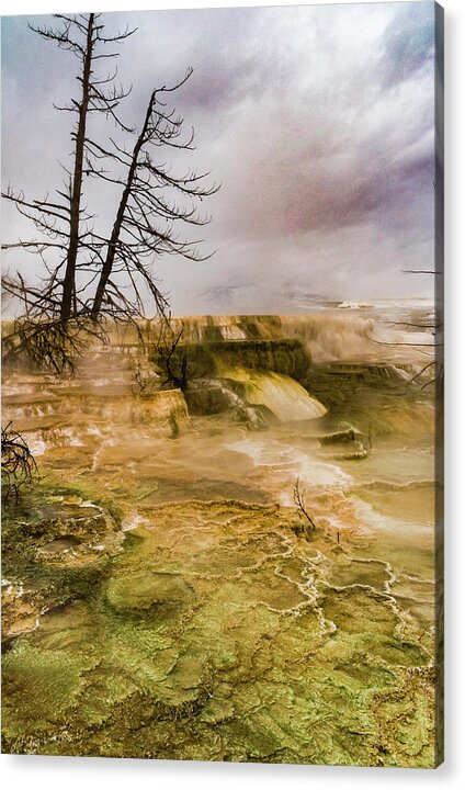 _earthscapes Acrylic Print featuring the photograph Mammoth Hot Springs #4 by Tommy Farnsworth