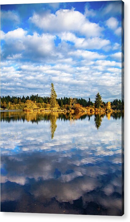 Lake Ballinger Acrylic Print featuring the photograph Reflections on Lake Ballinger by Tommy Farnsworth