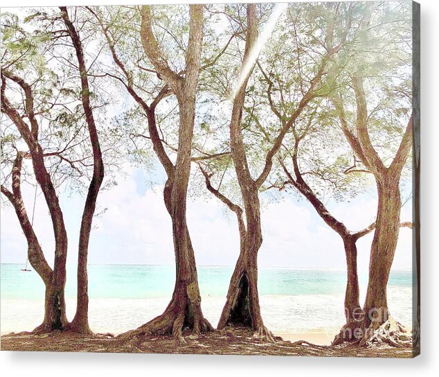 Landscape Acrylic Print featuring the photograph Dancing Trees by Carol Riddle