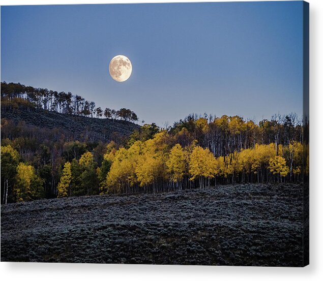 Fall Acrylic Print featuring the photograph Full Moon Over Aspens by Johnny Boyd