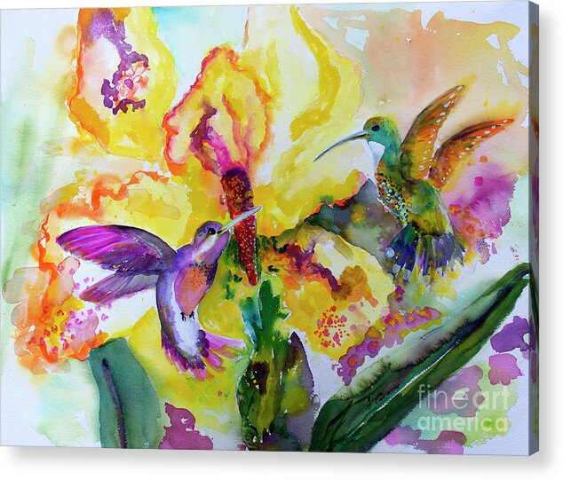 Hummingbirds Acrylic Print featuring the painting Hummingbird Song Watercolor by Ginette Callaway