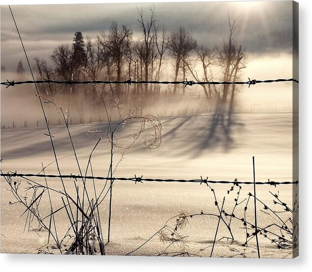Fog Acrylic Print featuring the photograph A Winter Morning by Linda McRae