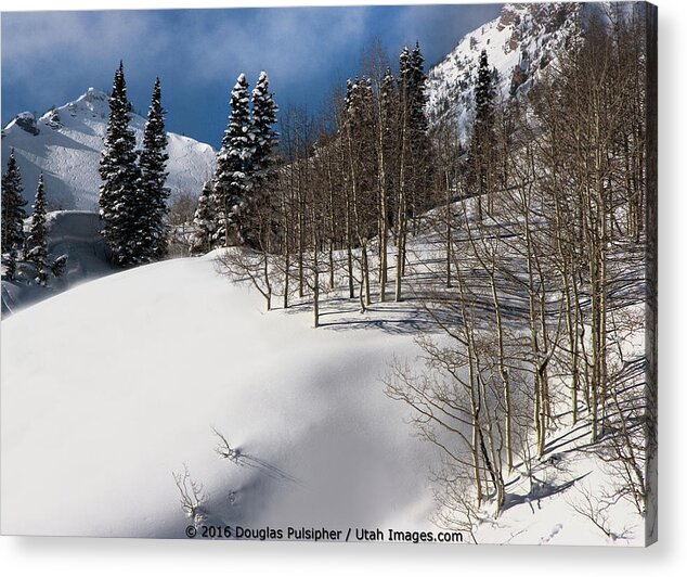Alta Ski Resort Acrylic Print featuring the photograph Wasatch Mountains in Winter #9 by Douglas Pulsipher