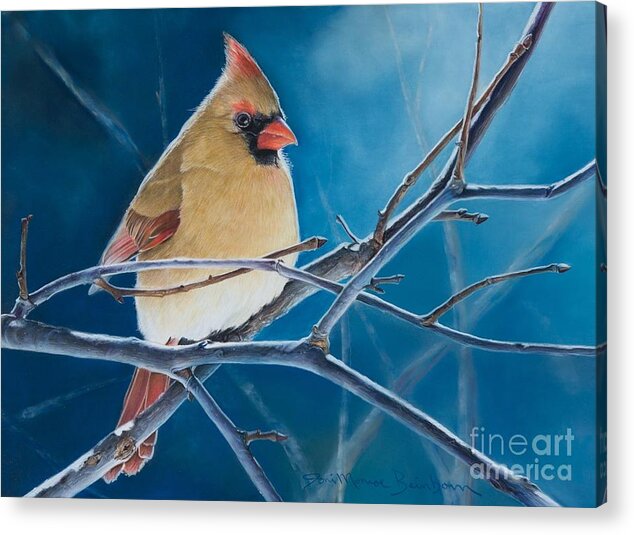 Cardinal Acrylic Print featuring the pastel Visitor From Heaven by Joni Beinborn
