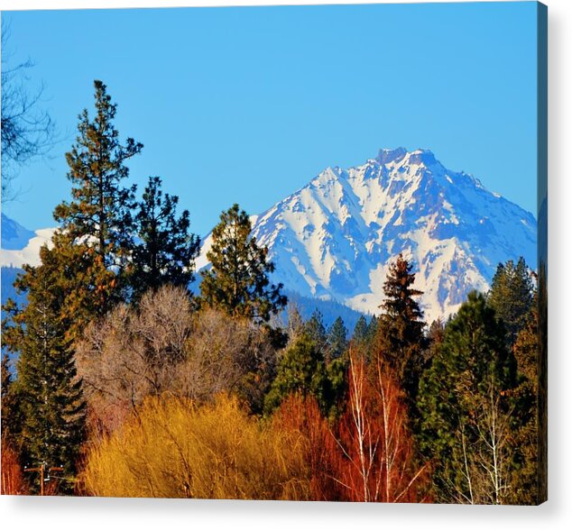 Bend Acrylic Print featuring the photograph Mt Bachelor 21620 #1 by Jerry Sodorff