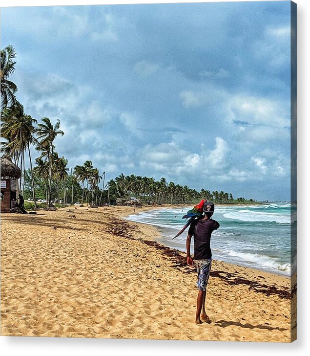 Punta Cana Acrylic Print featuring the photograph Palm Tree Paradise by Portia Olaughlin