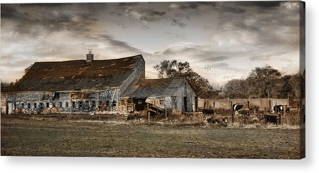 Barns Acrylic Print featuring the photograph Forlorn #1 by Robin-Lee Vieira
