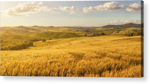 Scenics Acrylic Print featuring the photograph Sunset Tuscany Landscape #1 by Focusstock